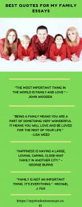 essays about family importance