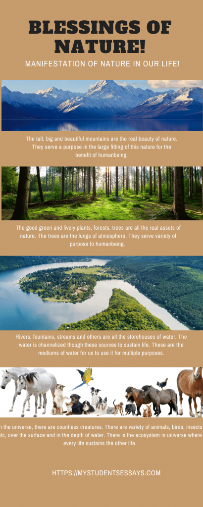 example of photo essay about nature