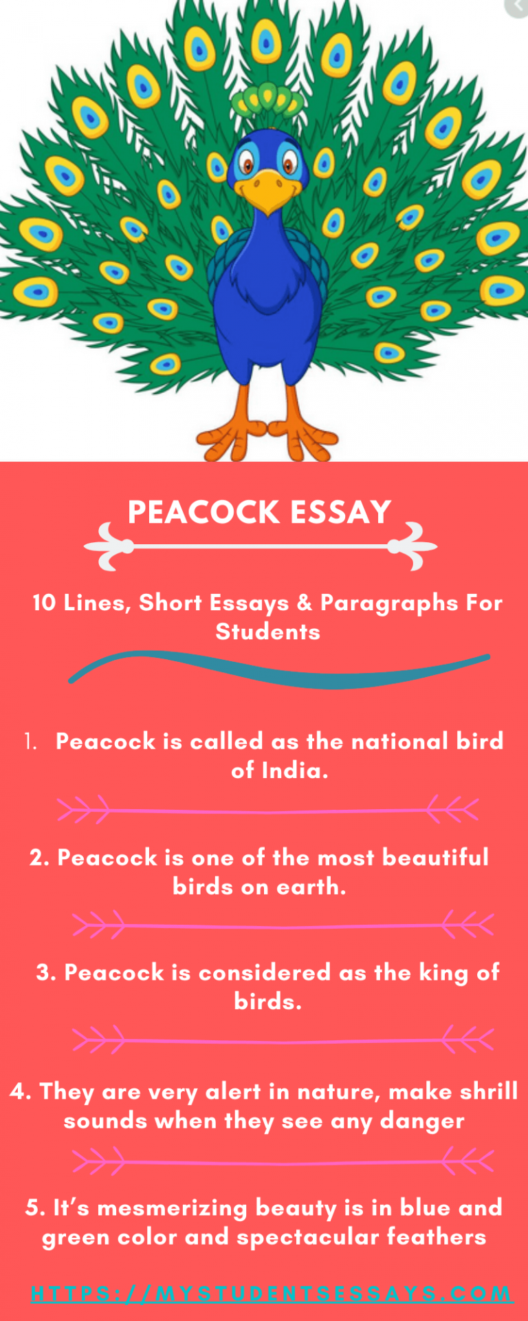 an essay on peacock bird