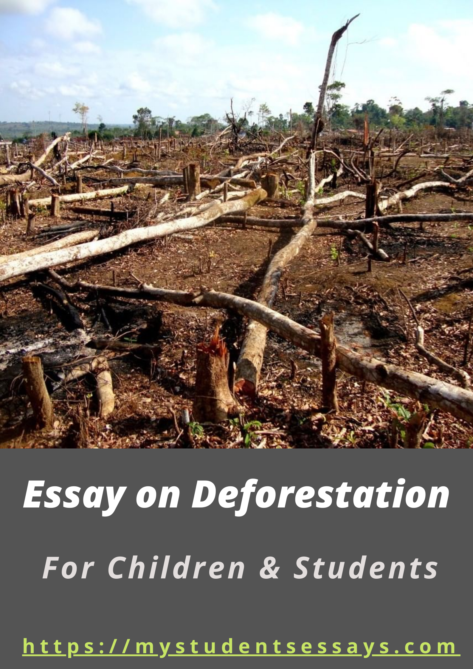 hazards of deforestation essay