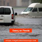 Essay on Flood For Children & Students | Causes & Impacts