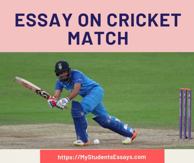 essay on a cricket match you have seen