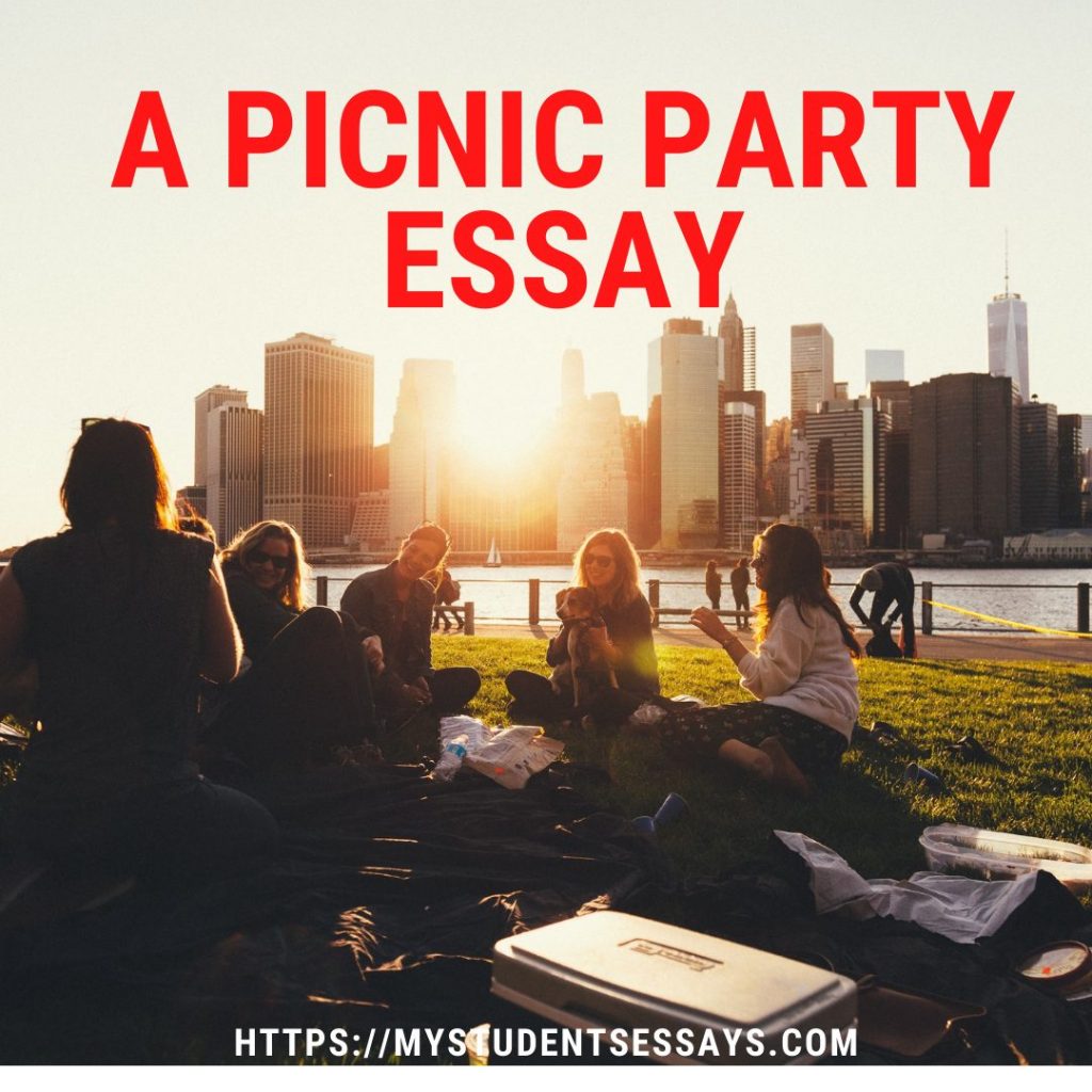 short essay on picnic at seaside