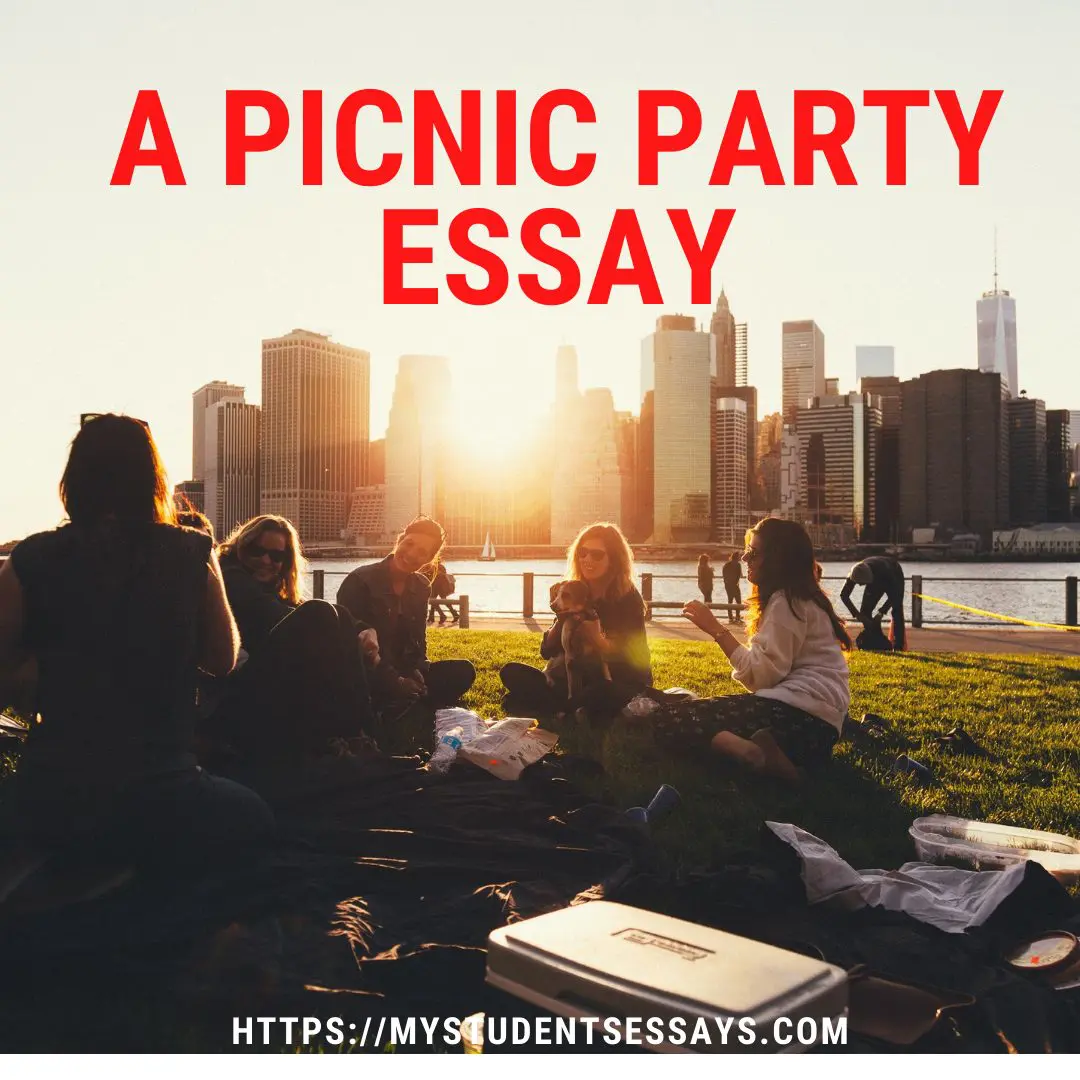 A picnic party essay