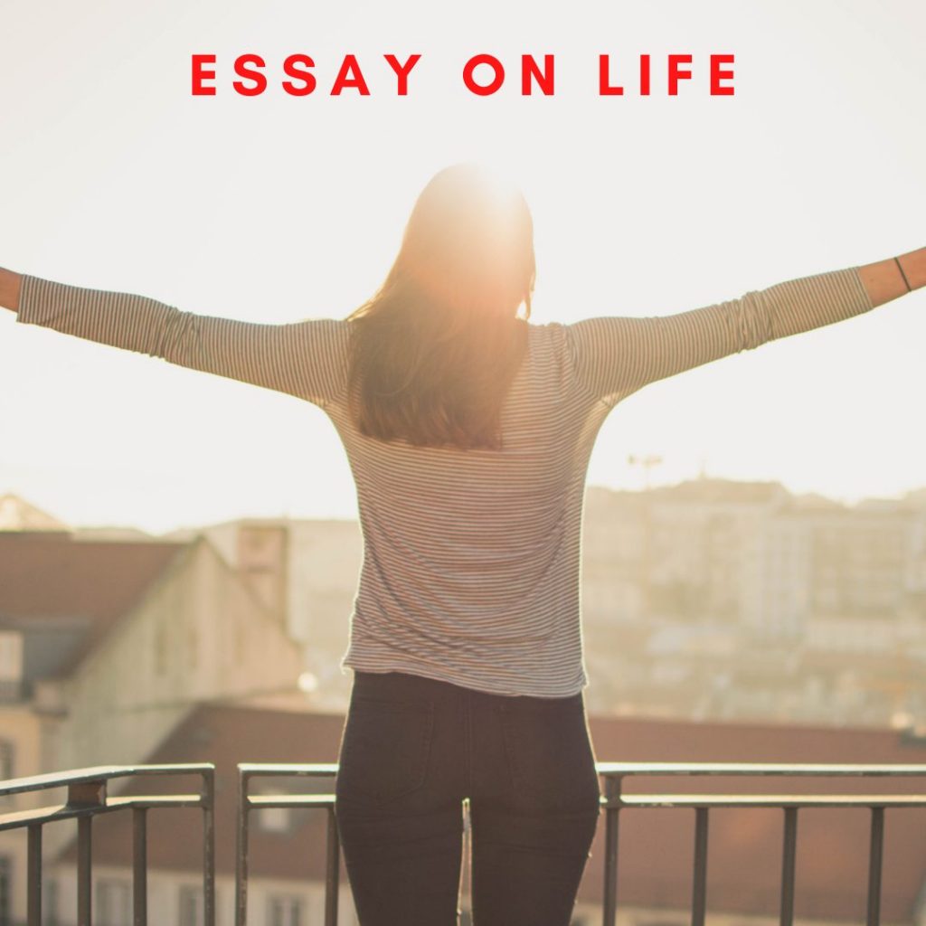 essay challenges in a student's life