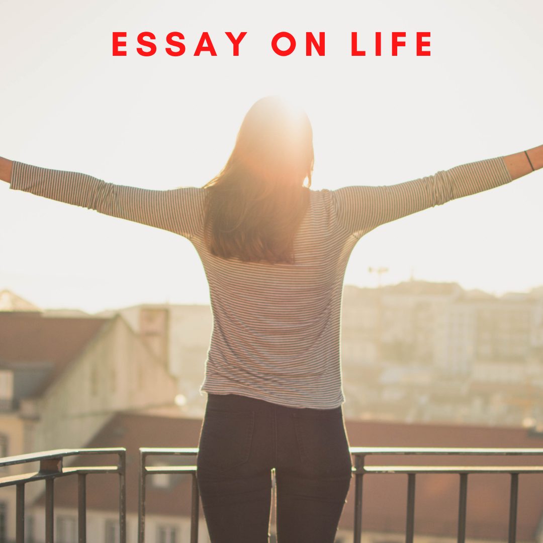 essays about life goals