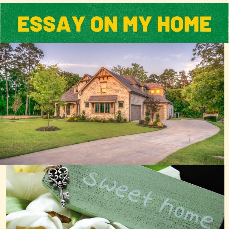 write essay on my dream house