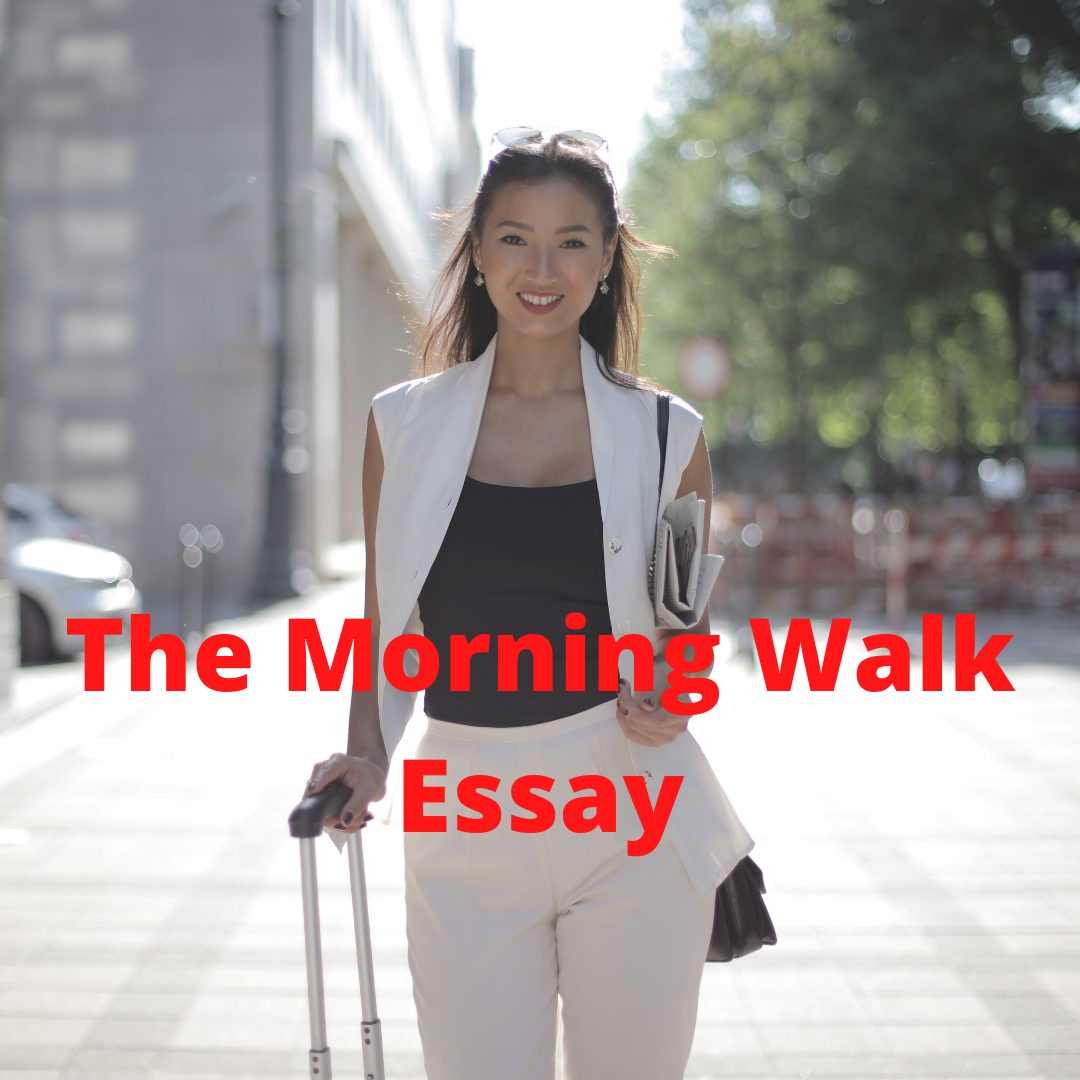 A Morning Walk Essay For Students