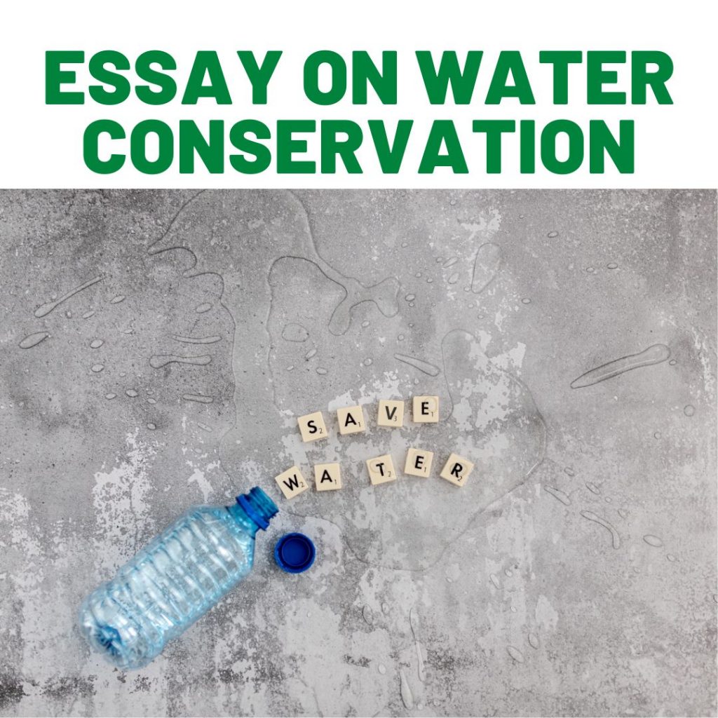 conservation of water best essay