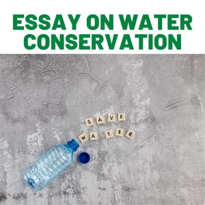 water sustainability essay