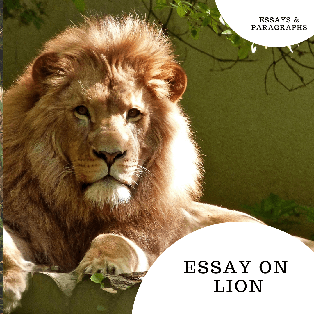 Essay on Lion For Students