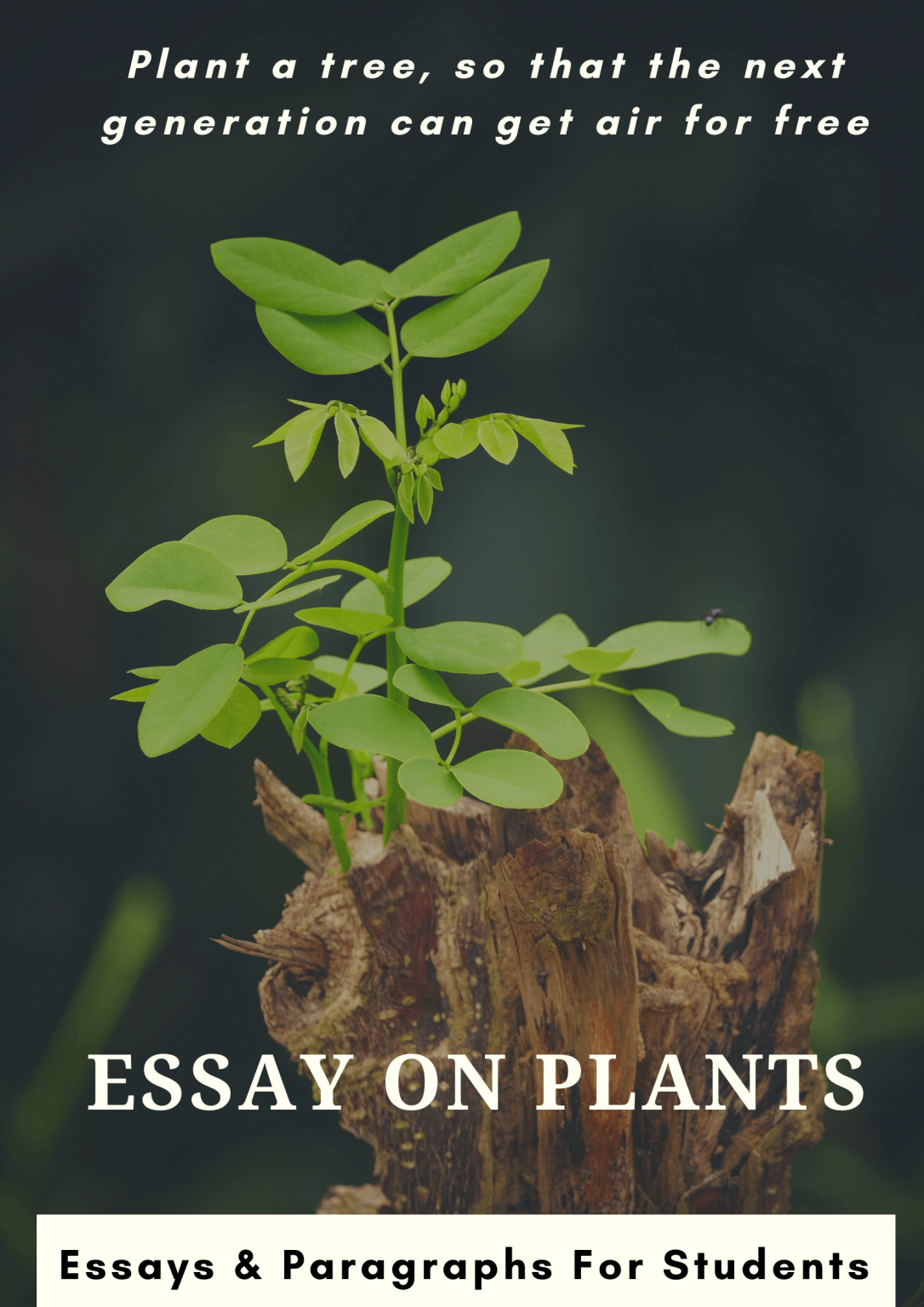 economic importance plants essay