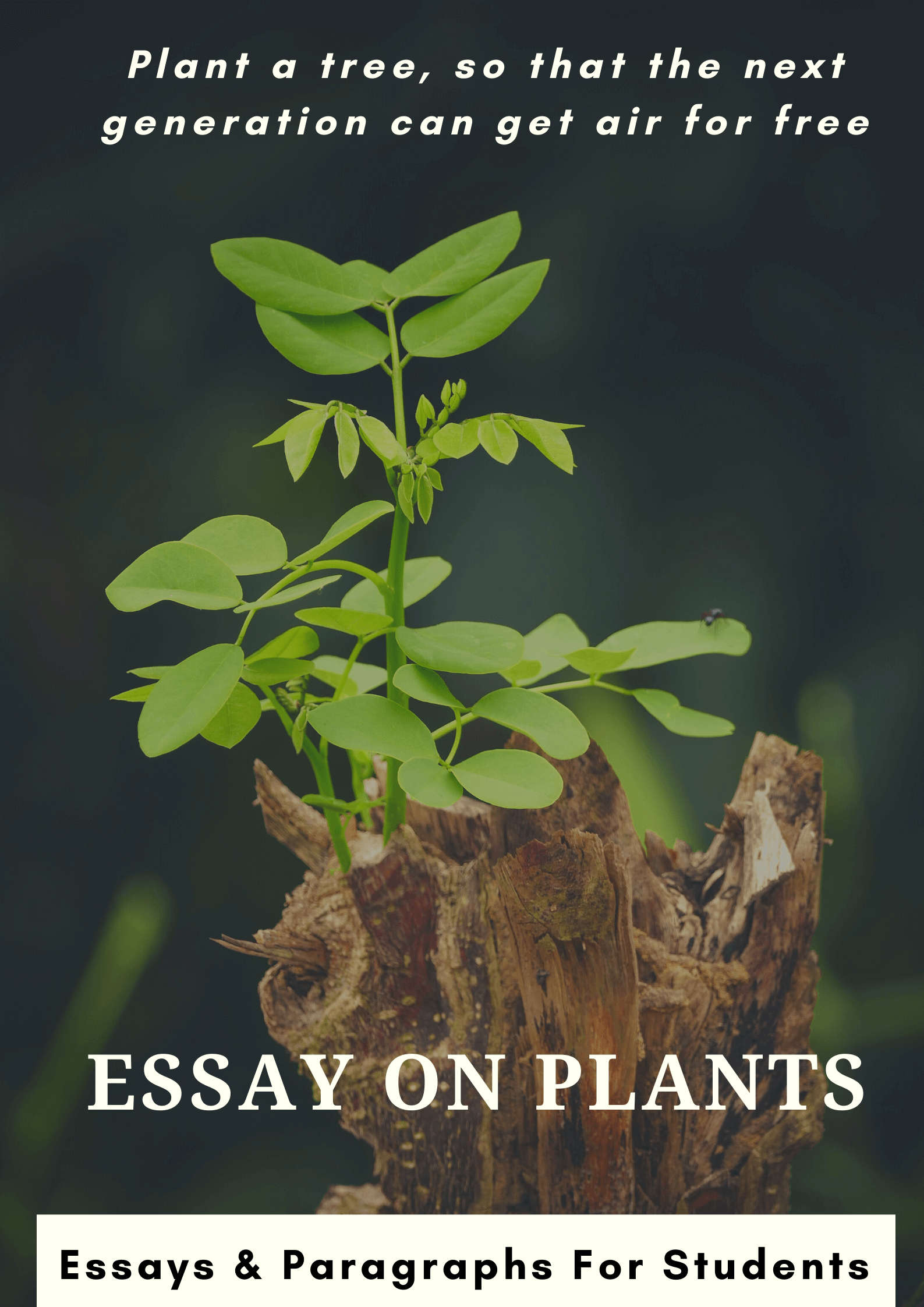 essay on importance of trees for class 5