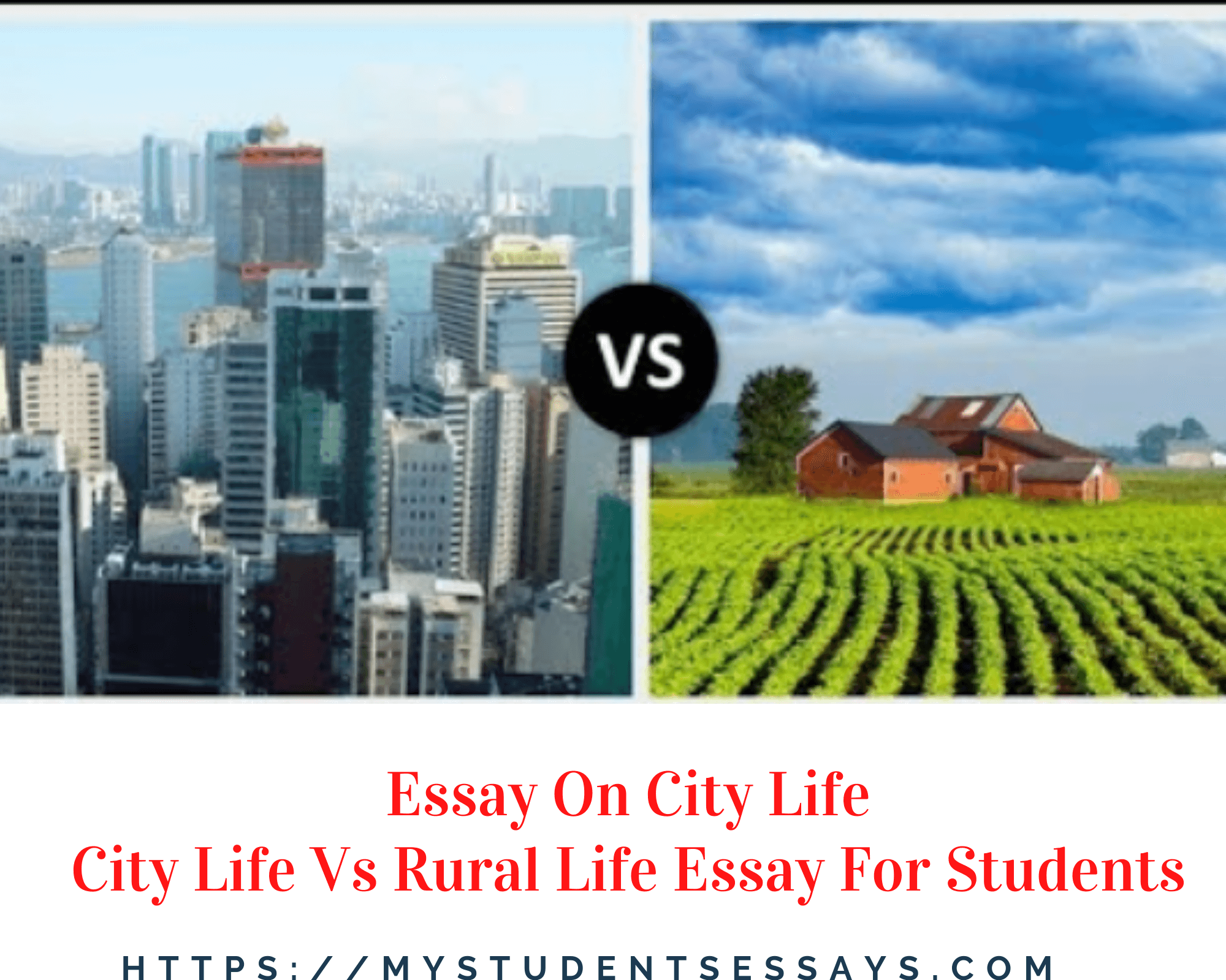 city life essay for class 3