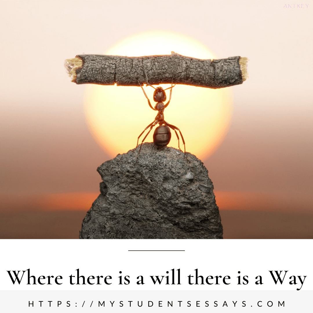 Essay on where there's a will there's a way