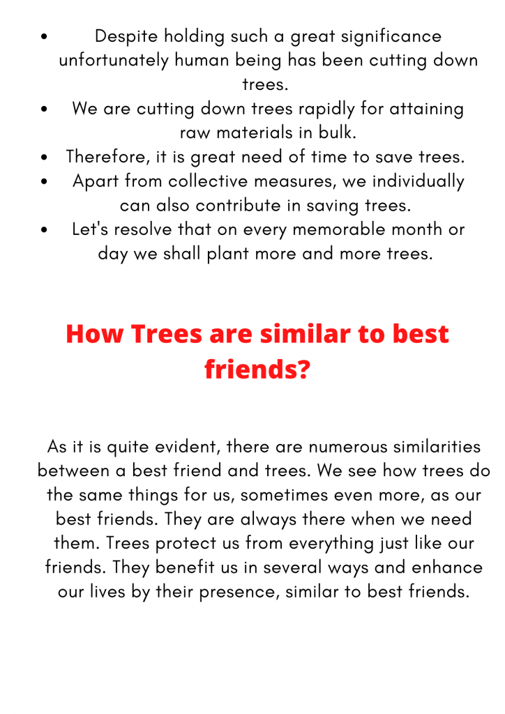 essay about trees are our friends