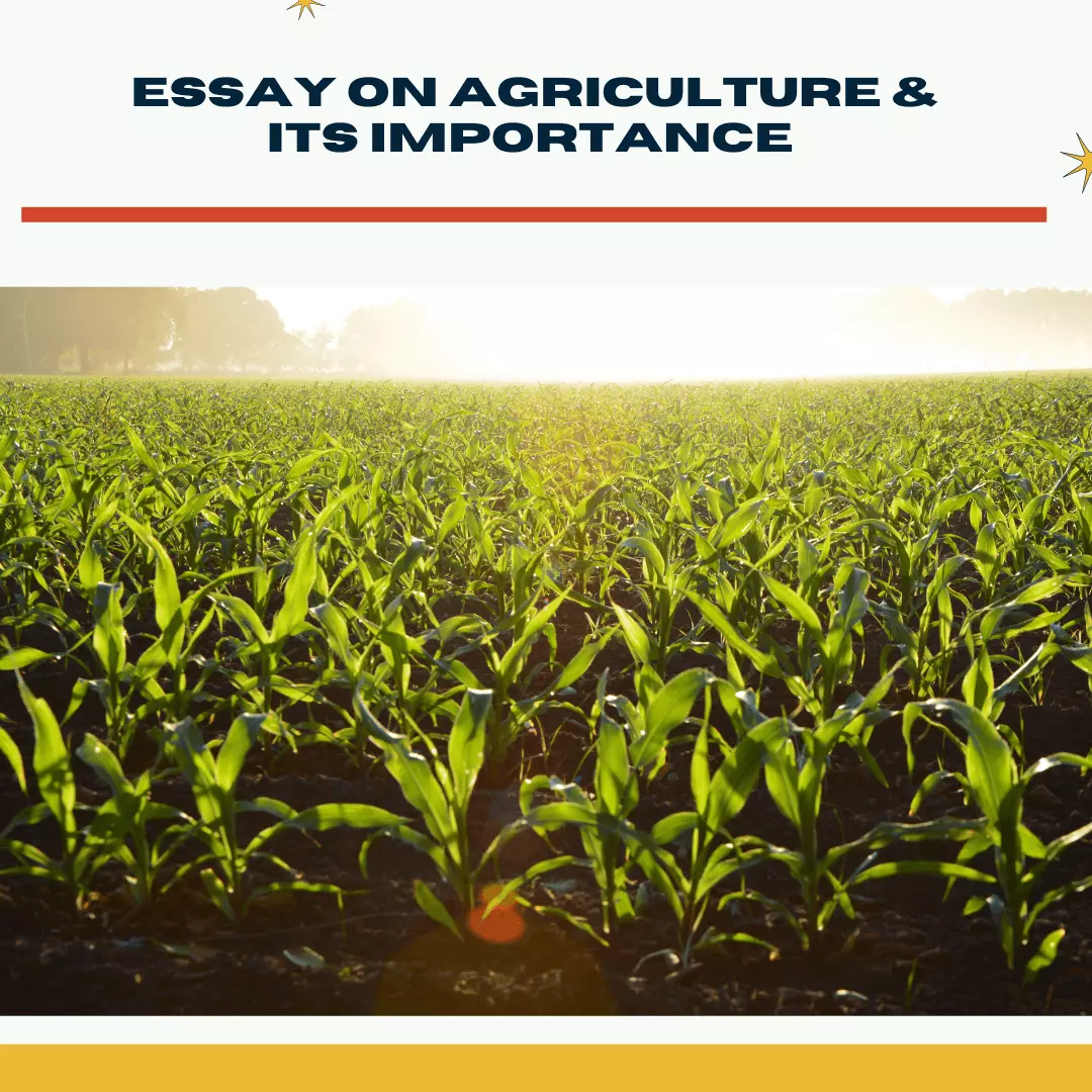 Essay on agriculture for students