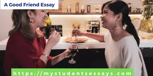 Essay on a Good Friend For Students