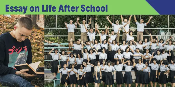 Essay on Life after School | Challenges of Life After High School Essay