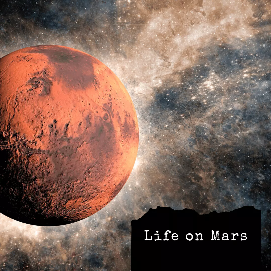 Реферат: Is There Really Life On Mars Essay
