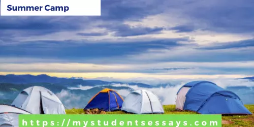 Essay on Summer Camp | A Memorable Summer Camp Experience