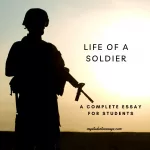 essay on life of a soldier