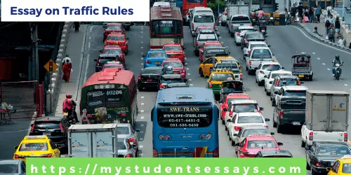 essay on traffic rules