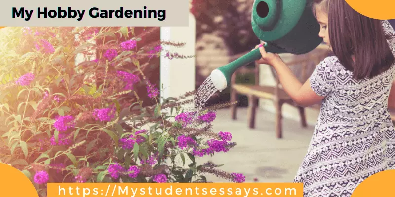 My hobby gardening essay
