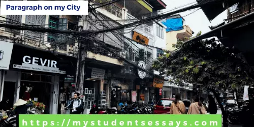 Paragraph on My City | Short & Long Paragraph for Students