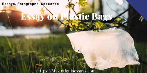 Essay on Plastic Bags | Effects of Plastic Bags Essay For Students