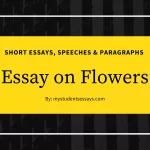 Essay on Flowers | Importance, Why I Love Flowers Essay