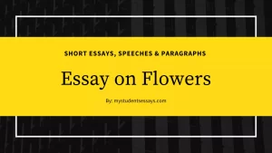 Essay on flowers for students