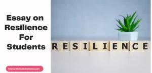Essay on Resilience