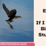 Essay on If I were a Bird For Children & Students
