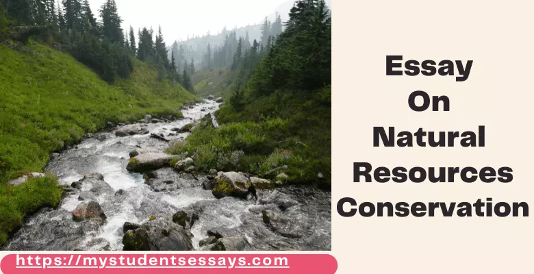 essay on prevention of natural resources