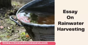 Essay on Rainwater harvesting