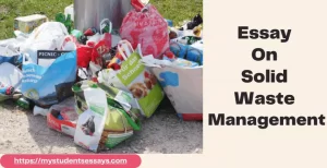 Essay on Solid waste management