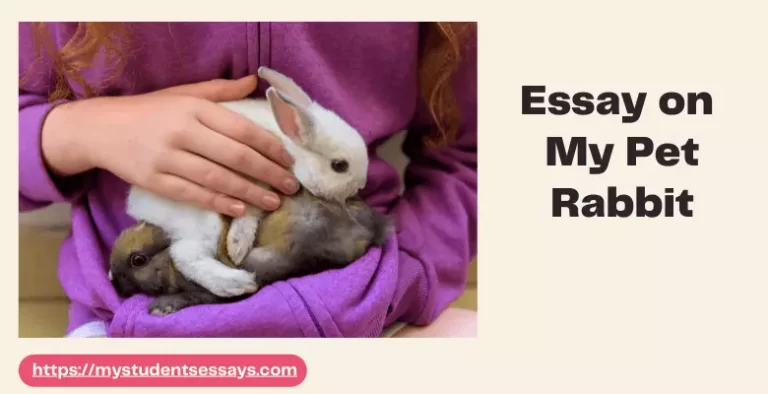 Essay on My Pet Rabbit | Short & Long Essay for Students