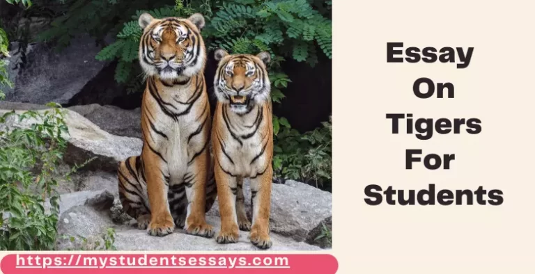 Essay on Tigers | 10 Lines, Short Essay For Students