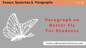 Paragraph on Butterfly