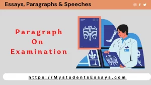 Paragraph on Examination