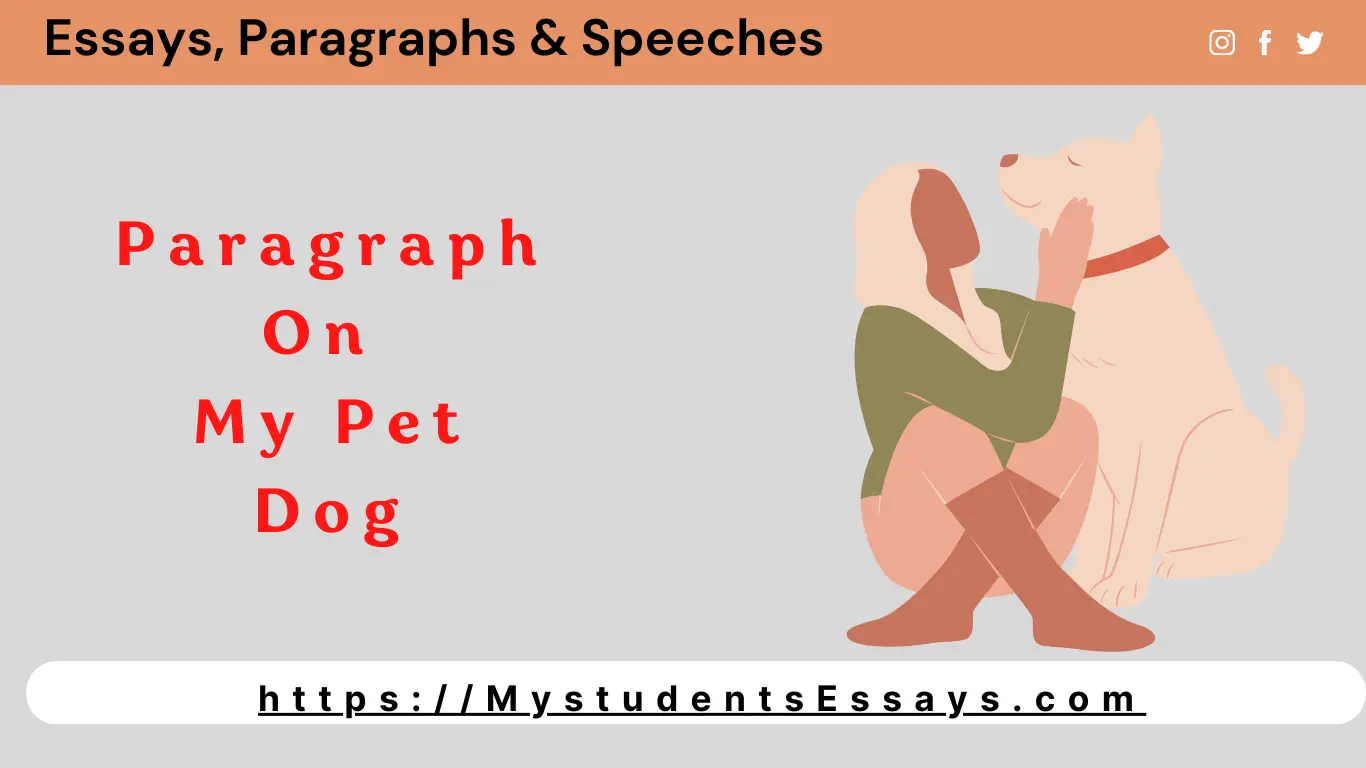 dog essay paragraph