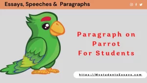 Paragraph on Parrots