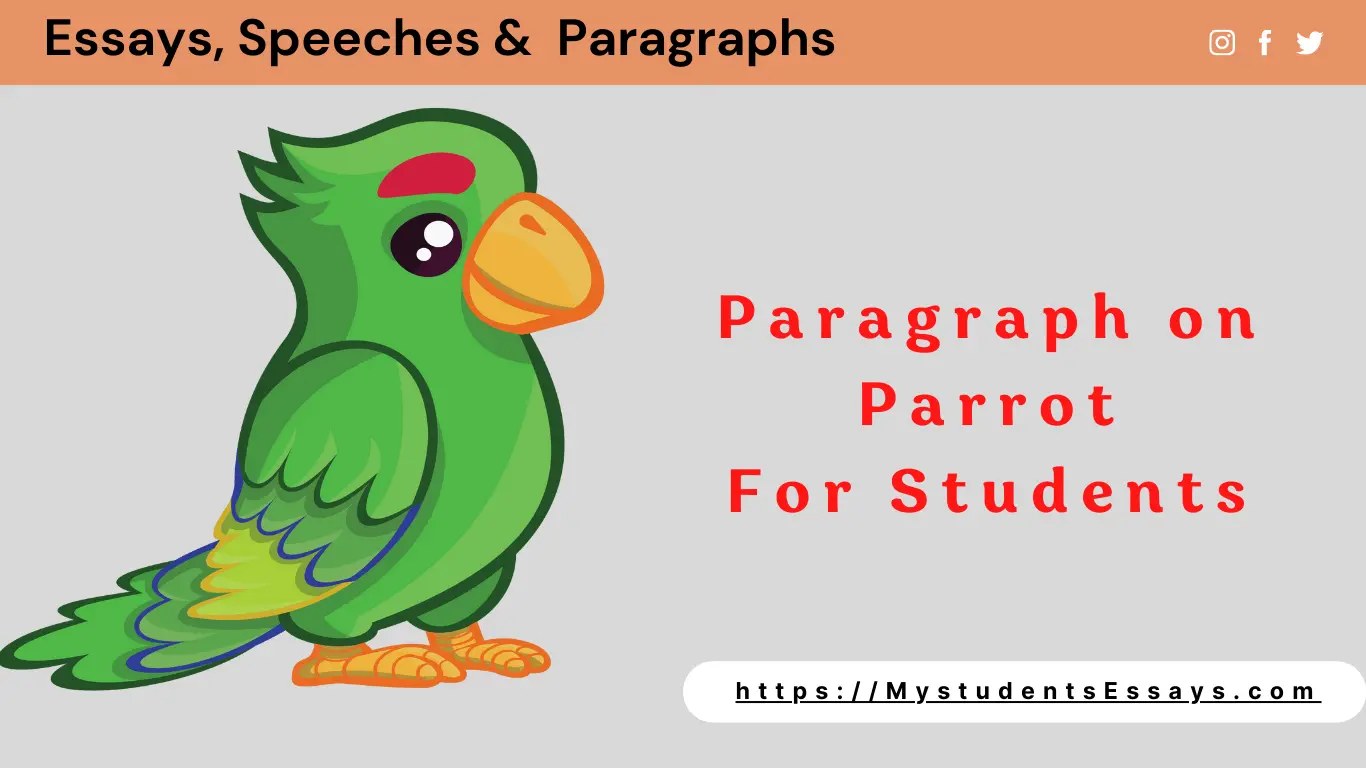 paragraph parrot essay in english 150 words