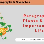 Paragraph on Plants & their Importance in our Life