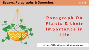 Paragraph on Plants & their Importance