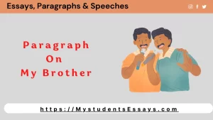 Paragraph on Brother