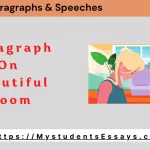 Paragraph on My Beautiful Room For Students