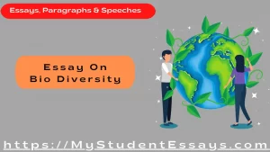 Essay on Bio Diversity
