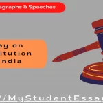 Essay on Constitution of India- Importance & Essential Features